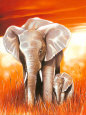 Big Mama Animals Elephants