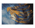 Squid Art on the Verge Animals