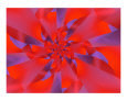 Red 4