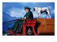 Budweiser Clydesdale Horse Cart, with Dalmation Standing on Boxes, Palmer, U.S.A.