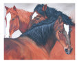 Wild horses, Against the Wind Art on the Verge Animals