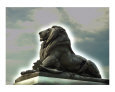 Capitol Lion