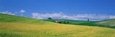 Rural Scene, Hokkaido, Japan