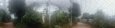 Kibble Palace Botanic Gardens, Glasgow, Scotland, United Kingdom