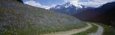 Road Through Hillside, Zillertaler, Austria