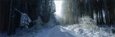Road, Hochwald, Germany