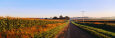 Road Along Rural Cornfield, Illinois, USA