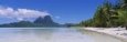 Palm Trees on the Beach, Bora Bora, French Polynesia