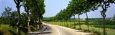 Road Through Provence, France Scenic Streets & Roadways