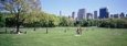 Group of People in a Park, Sheep Meadow, Central Park, New York City, New York State, USA