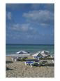 Chaise Longues and Umbrellas on a Beach in Menorca, Spain Scenic Beach & Ocean