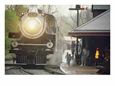 The Allegany Central Excursion Train at Frostburg Station