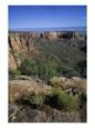 Straight Over the Cliffs of the Canyon, Colorado National Monument, Colorado