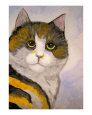 Calico