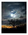 Haunted Moon