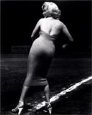 Marilyn Monroe Actresses Marilyn Monroe