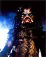 Predator