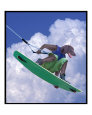 dog gone wake boarder