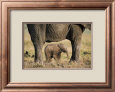 Elephant and Calf