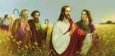 Christus im Aehrenfeld