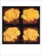 Yellow Roses