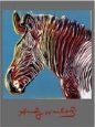 Grevys Zebra