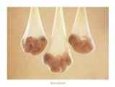 Hanging