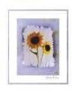 Sonnenblume