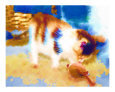 Playtime Art on the Verge Animals