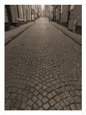 Cobbled Street in Gamla Stan Area, Stockholm, Sweden Scenic Streets & Roadways