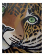 Eyes 3 Art on the Verge Animals