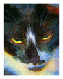 Golden Eyes