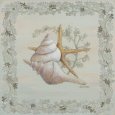 Pastel Shell II