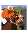 Flying Colors of Horse Racing