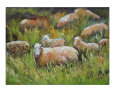 Sheep in the meadow Art on the Verge Animals