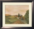 Sunny Tuscan Road