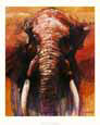 Bull Elephant