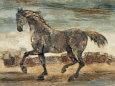 Destriero