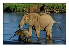 An Elephant and Her Calf Cross a River