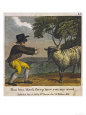Baa Baa Black Sheep Have You Any Wool?
