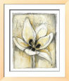 Kinetic Blooms III