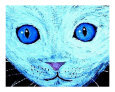 CAT KITTEN FELINE PET STARE BLUE EYES UNIQUE PAINTING DECOR BEAUTIFUL LOVELY EYES ART POPULAR