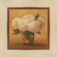 White Hydrangea II