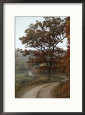A Twisty Road Meanders Through the Countryside