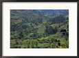 Andean Valley, Colombia