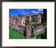 Ruins of Heidelberg Castle, Heidelberg, Germany