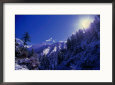 Snow Covered Forest on Jomson Trek on Annapurna Circuit, Jomsom, Nepal