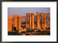 Columns of Ruins at Dawn, Palmyra, Syria