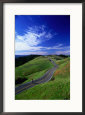 Bicycle Rider on Long and Winding Road, Mount Tamalpais, California, USA