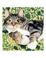 Tabby Tilly Art on the Verge Animals